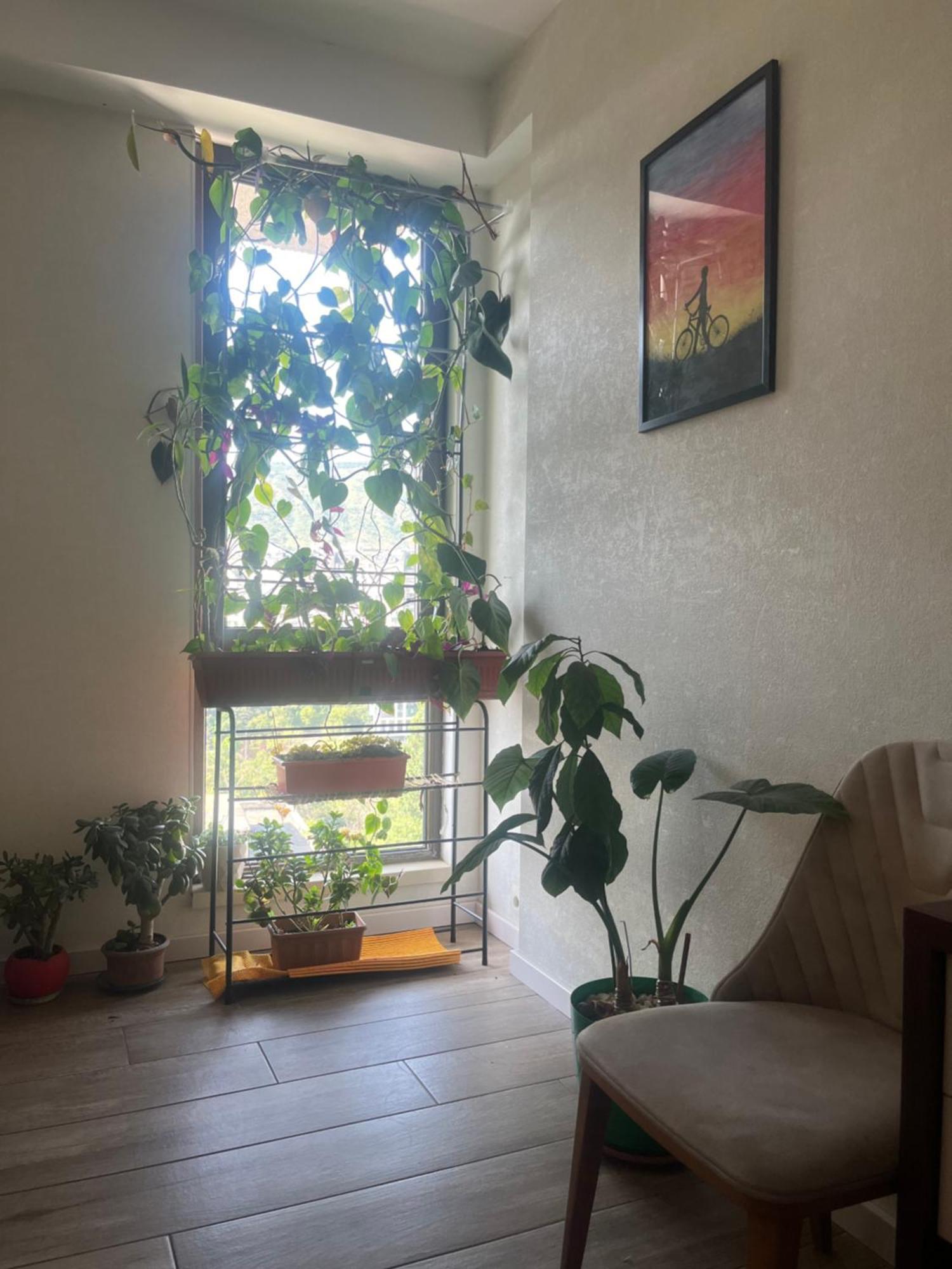 Ferienwohnung Panorama Khiliani Tbilisi Exterior foto
